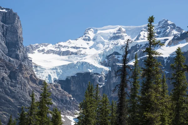 Berg med glaciärer, banff nationalpark — Stockfoto