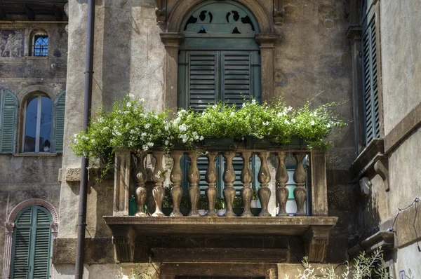 Fleurs poussant sur le balcon en Italie — Photo