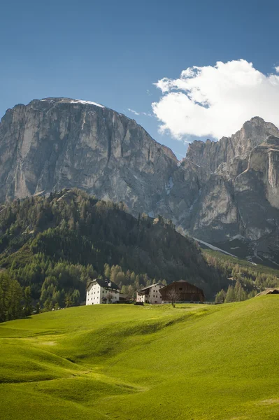 Berge und Wiesen — Stockfoto