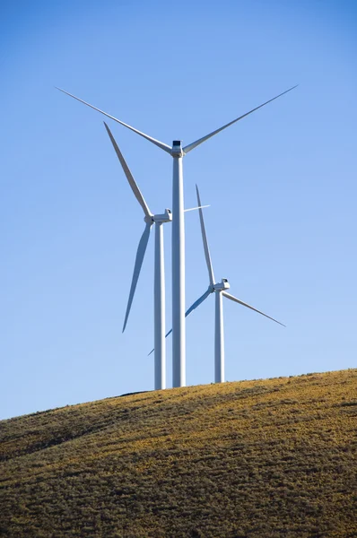 Windturbines. — Stockfoto