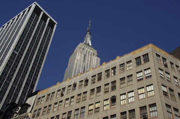 Empire State Building rising above other buildings in New York