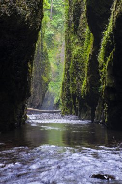 dar green river canyon