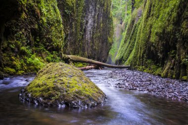 dar green river canyon