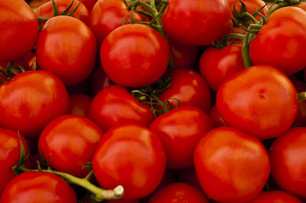 Raw plum tomatoes — Stock Photo, Image