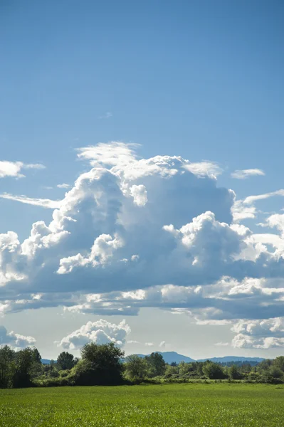 Grote cumulus wolken in de zomer — Stockfoto