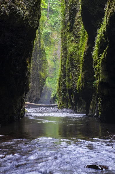 Cañón de río verde estrecho —  Fotos de Stock