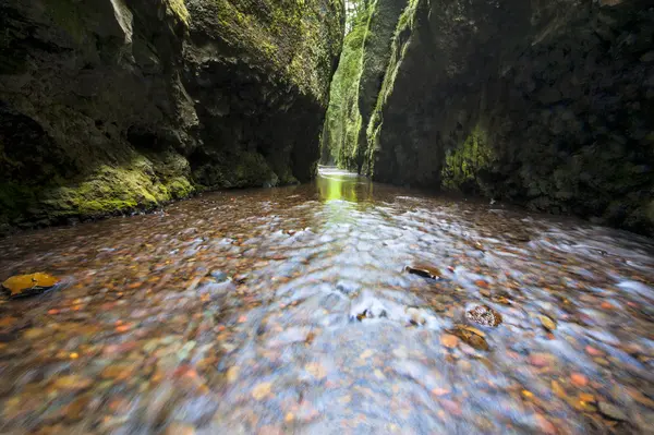 Canyon fluvial vert étroit — Photo