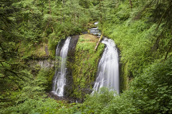 Hermosa cascada —  Fotos de Stock