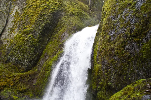 Waterfall and mossy rocks — Stock Photo, Image