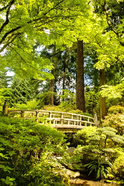 Träbro, japanska trädgården, portland, oregon — Stockfoto