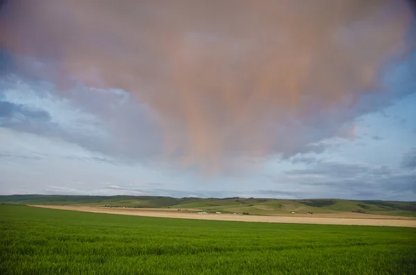 Nuvens de pôr do sol sobre campos de trigo — Fotografia de Stock