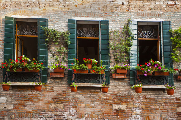 Flower boxes below a window in Venice, Italy