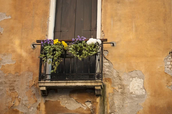 Цветочный ящик, Венеция, Италия — стоковое фото