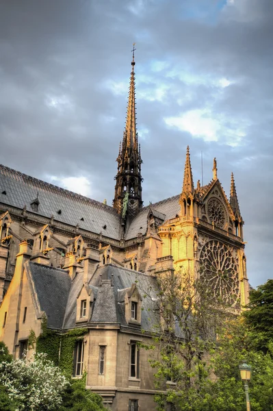 Evening light on Notre Dame — Stock Photo, Image