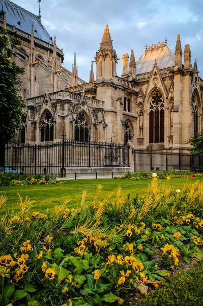 Evening light on Notre Dame — Stock Photo, Image