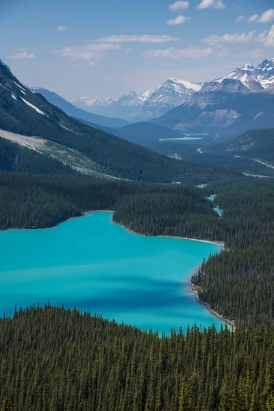 Lago Petyo, Parque Nacional de Banff — Fotografia de Stock