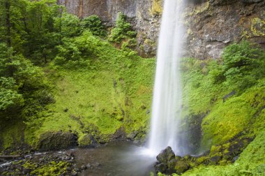 Elowah Falls, Columbia Gorge, Oregon