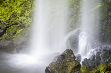 Elowah Falls, Columbia Gorge, Oregon