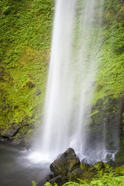 Elowah Falls, Columbia Gorge, Oregon