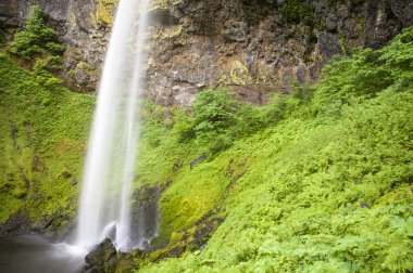 Elowah Falls, Columbia Gorge, Oregon