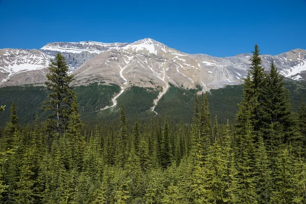 Paisaje de montaña rocosa, Parque Nacional Banff — Foto de Stock