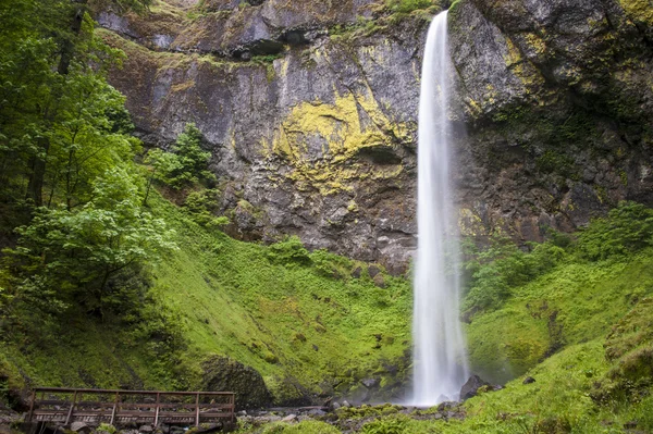 Elowah fällt, columbia schlucht, oregon — Stockfoto