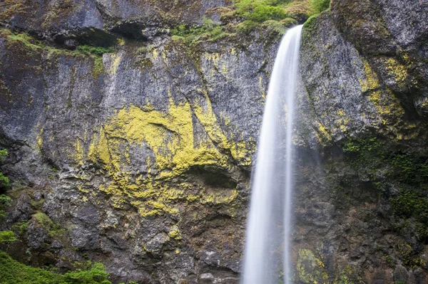 Elowah-vízesés, Columbia Gorge Oregon — Stock Fotó