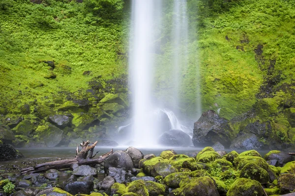 Elowah-vízesés, Columbia Gorge Oregon — Stock Fotó