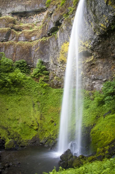 Elowah fällt, columbia schlucht, oregon — Stockfoto