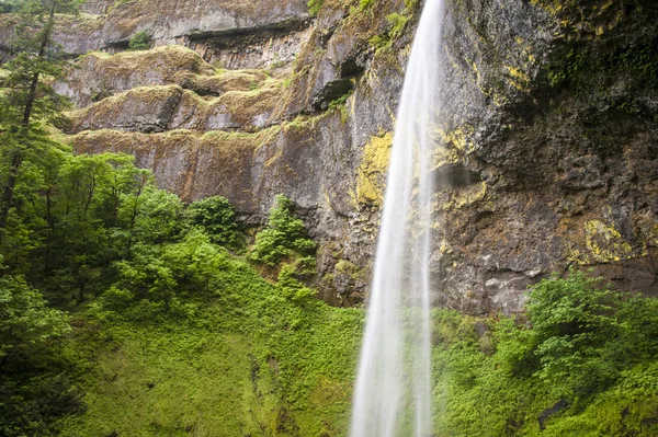 Elowah fällt, columbia schlucht, oregon — Stockfoto