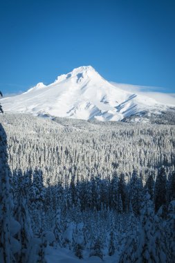 mt. hood, kış, oregon