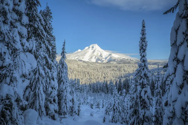 Mt. Hood, vinter, Oregon – stockfoto