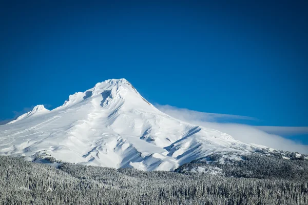 Mount hood, winter, oregon — Stockfoto