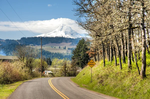 Lantlig väg, hood river valley, oregon — Stockfoto