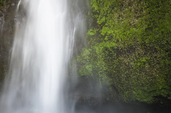 Cascadas borrosas en movimiento — Foto de Stock