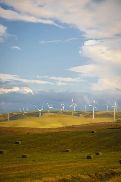 Turbine eoliche tra i campi di grano — Foto Stock