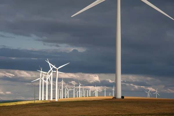 Windturbines hieronder een stormachtige lucht — Stockfoto