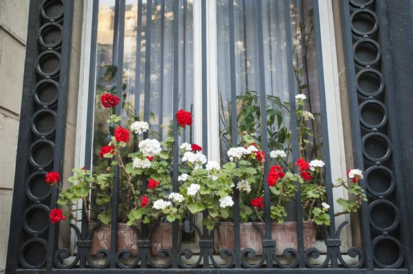 Flower box and barred window — Stock Photo, Image