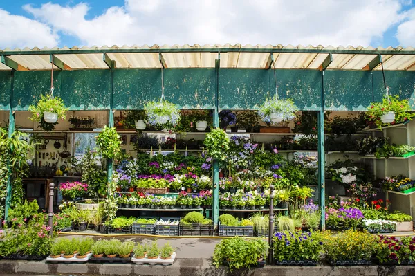 Bloemenwinkel in Parijs, Frankrijk — Stockfoto