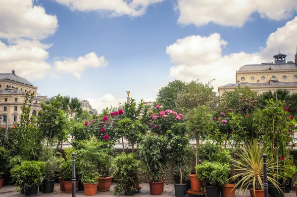 Toko bunga di Paris, Perancis — Stok Foto