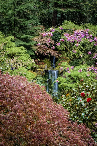폭포 정원 — 스톡 사진