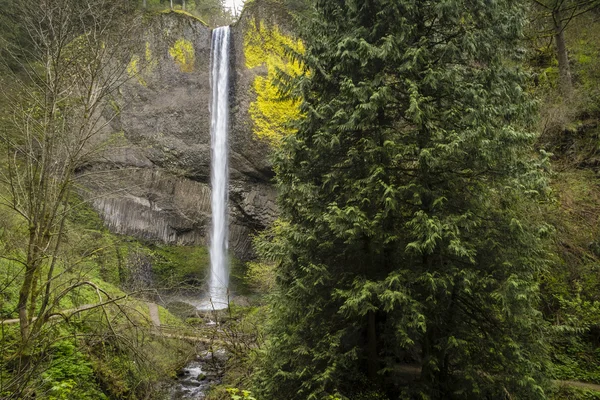 Spring waterfall — Stock Photo, Image