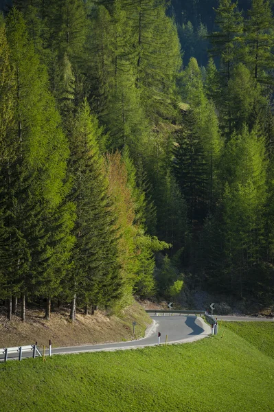 Straße in den Dolomiten, Italien — Stockfoto