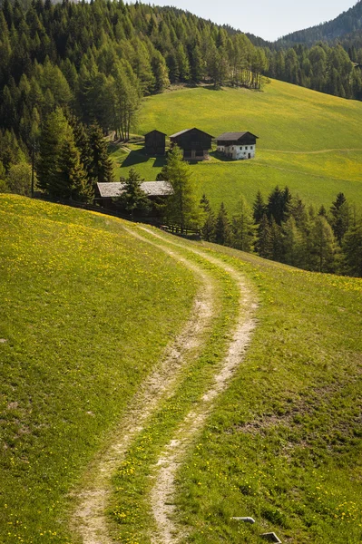 Tepelerin üzerinden yol — Stok fotoğraf