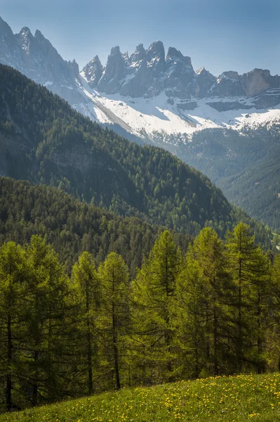 Dolomieten, Tiroler regio van Italië — Stockfoto