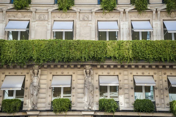 Parisian apartment building with flower boxes — Stock Photo, Image