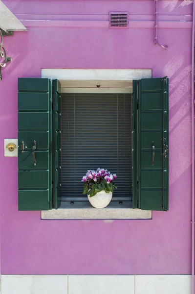 Окно с жалюзи в розовой стене — стоковое фото