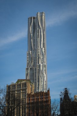 gehry bina, new york city New york