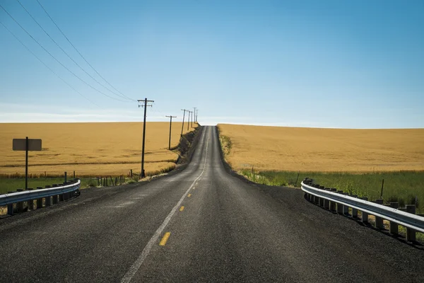 Estrada, campos de trigo, estado de Washington — Fotografia de Stock