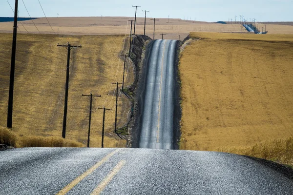 Strada, campi di grano, Stato di Washington — Foto Stock